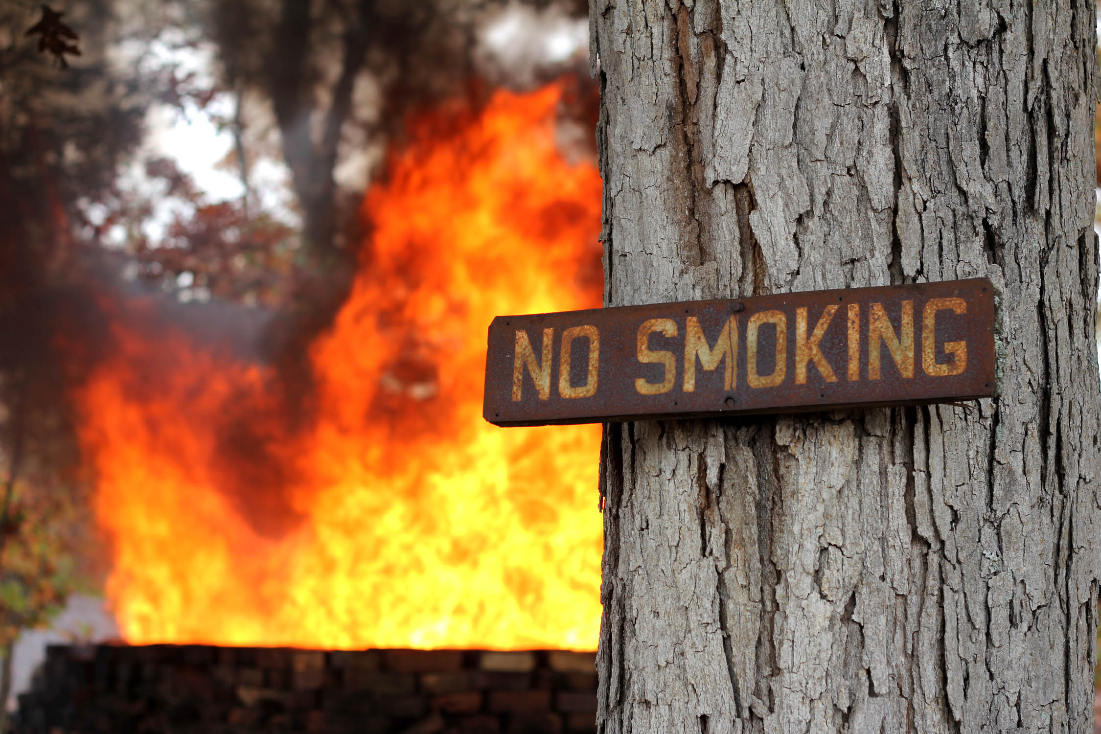 no-smoking-log-cabin-cooking