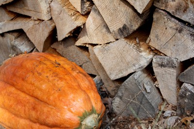 candy roaster pumpkin 400x266 testing class