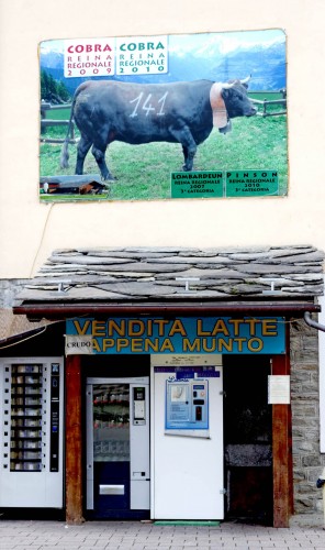 cow vending machine and cobra