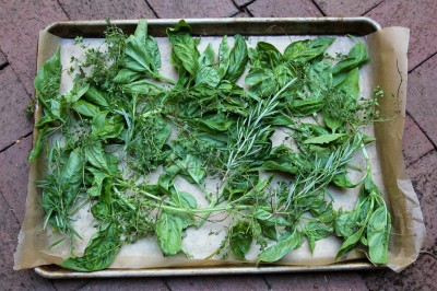 4 Bed of fresh herbs