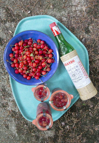 Homemade maraschino cherries