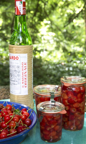 Jars of maraschino cherries