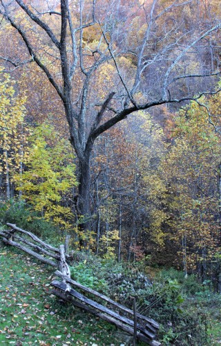 Madison county, NC