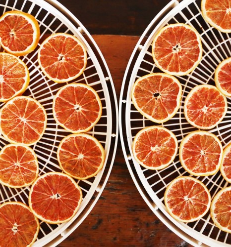 oranges dehydrator