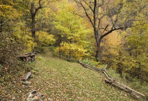 cabin front yard in fall s