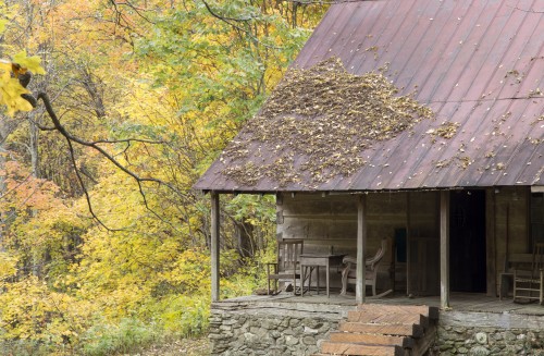 cabin in fall