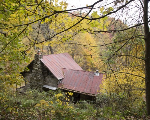 cabin in the middle of fall