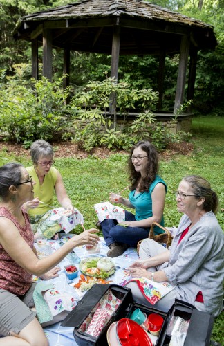 doctor bag picnic toast color