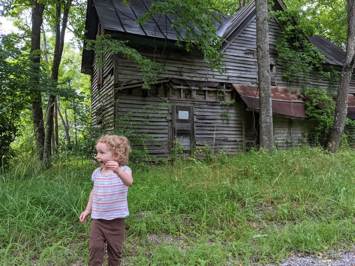 Happy Monday!

Who else loves old buildings? We do, and it's definitely a family thing! Makes us think "if these walls could talk..."

#nativeground #oldbuildings #ashevillenc #elkcreekva #828isgreat #appalachia #mountains #mountainlife #familyfun #folklore #folklife