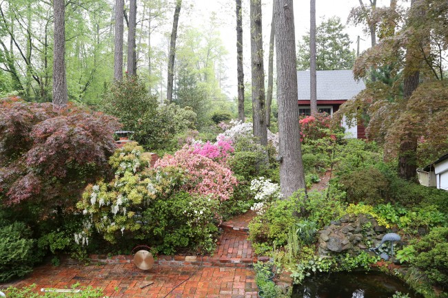 dad's garden in May